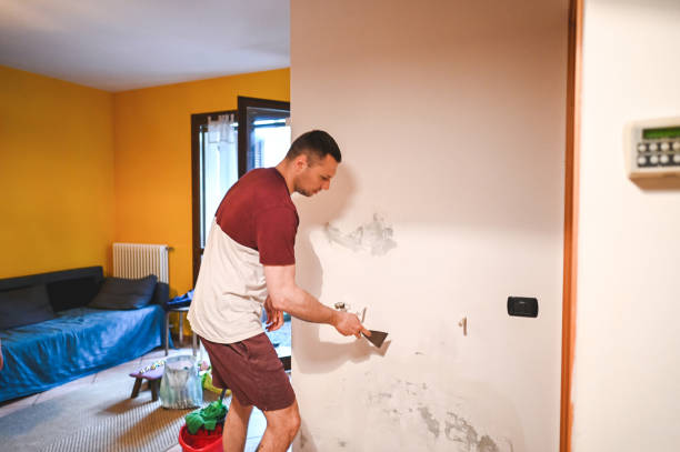 Best Attic Mold Removal  in Great Falls, SC